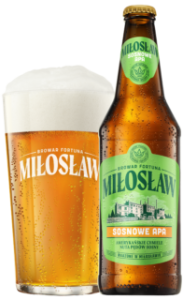 Piwo Miłosław Sosnowe APA 500ml